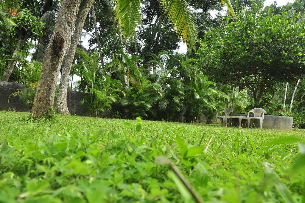 Village Headman'S Five Bedrooms Entire Bungalow Induruwa Luaran gambar